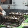 China Factory - Molding