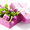 ODM is Whishing You a Happy Women's Day!