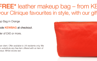 Clinique Luxurious Leather Bag Promo Gift