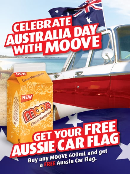 moove-car-flag.jpg