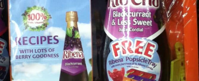 Ribena-Ice-Cube-Tray.jpg