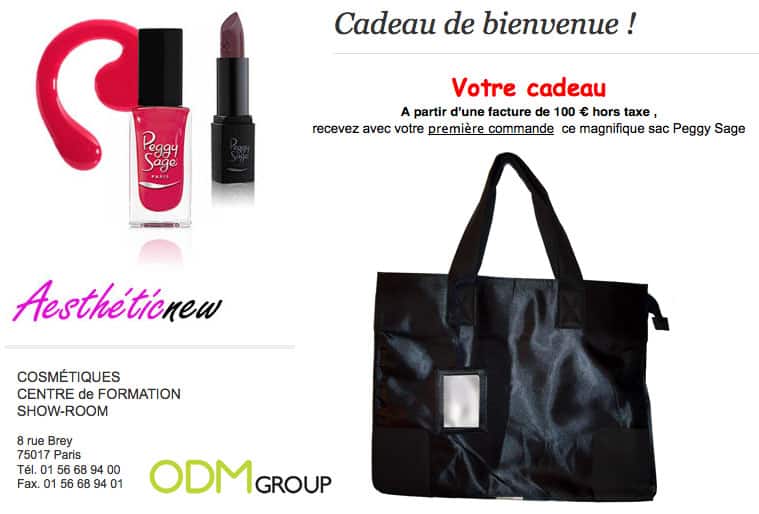 Welcoming-Gift-France-Aesthetic-New-Bag.jpg