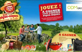 Coeur-de-Lion-GWP-France-Promotional-Ideas-For-Picnic.jpg