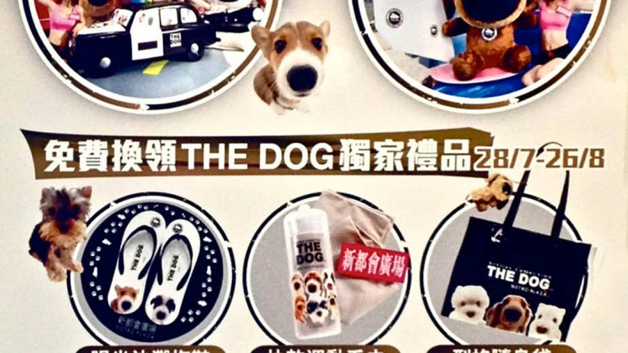 Artlist Collection: The Dog Promotional Gifts by Metroplaza