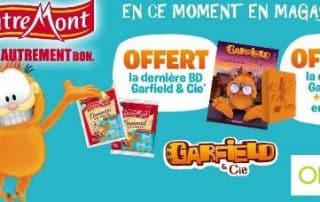 Comic-and-silicon-mold-Garfield-by-EntreMont.jpg