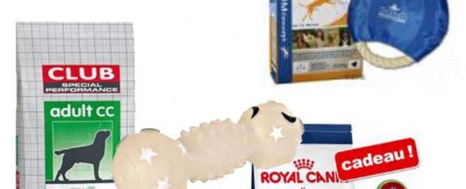 Promotional-Gifts-Idea-for-Dog-Food-Industry-in-Canada.jpg