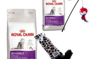 Promotional-Gifts-for-Cats-by-Royal-Canin-in-Canada.jpg
