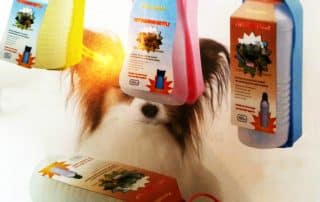 Promotional-Idea-Travel-Bowl-for-Pets.jpg