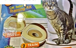 Promotional-ideas-for-pets-Liter-Free-Toilet-Training-Kit-for-Cats.jpg
