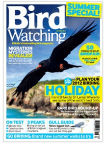 Bird Watching magazine 
