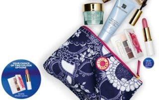 Estee Lauder's GWP - Cosmetic pouch