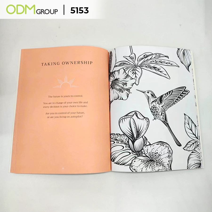 Custom Coloring Books 2