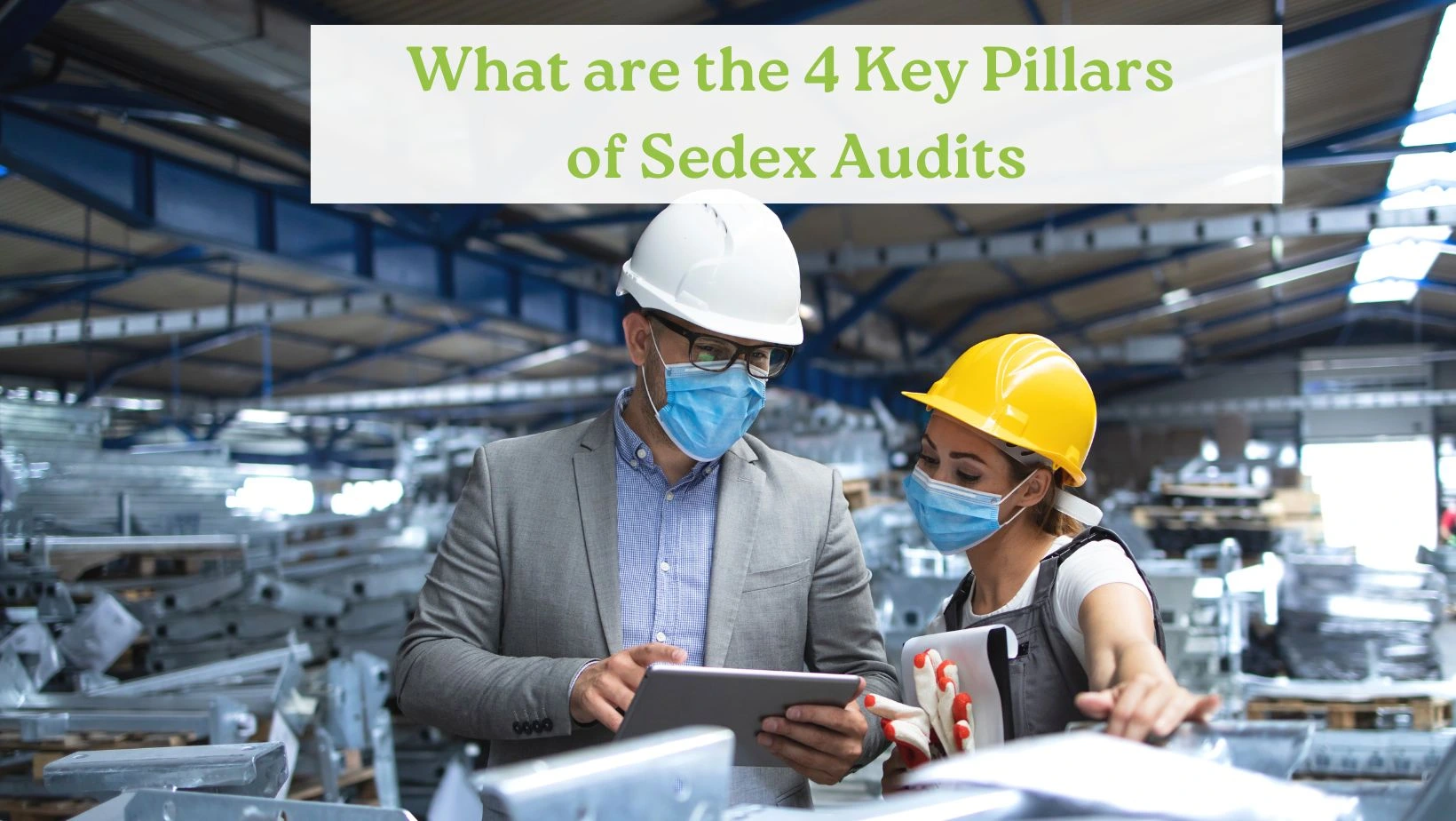 China Factory Audit- Sedex Audit 4 Pillar