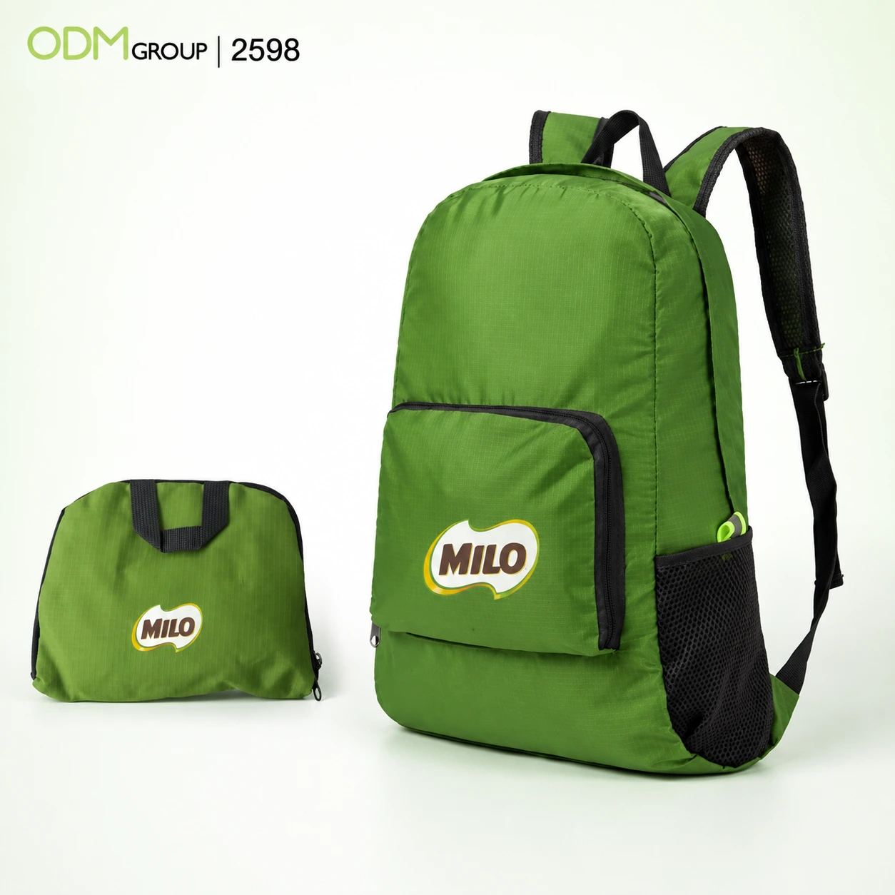 Promotional Foldable Backpack 3