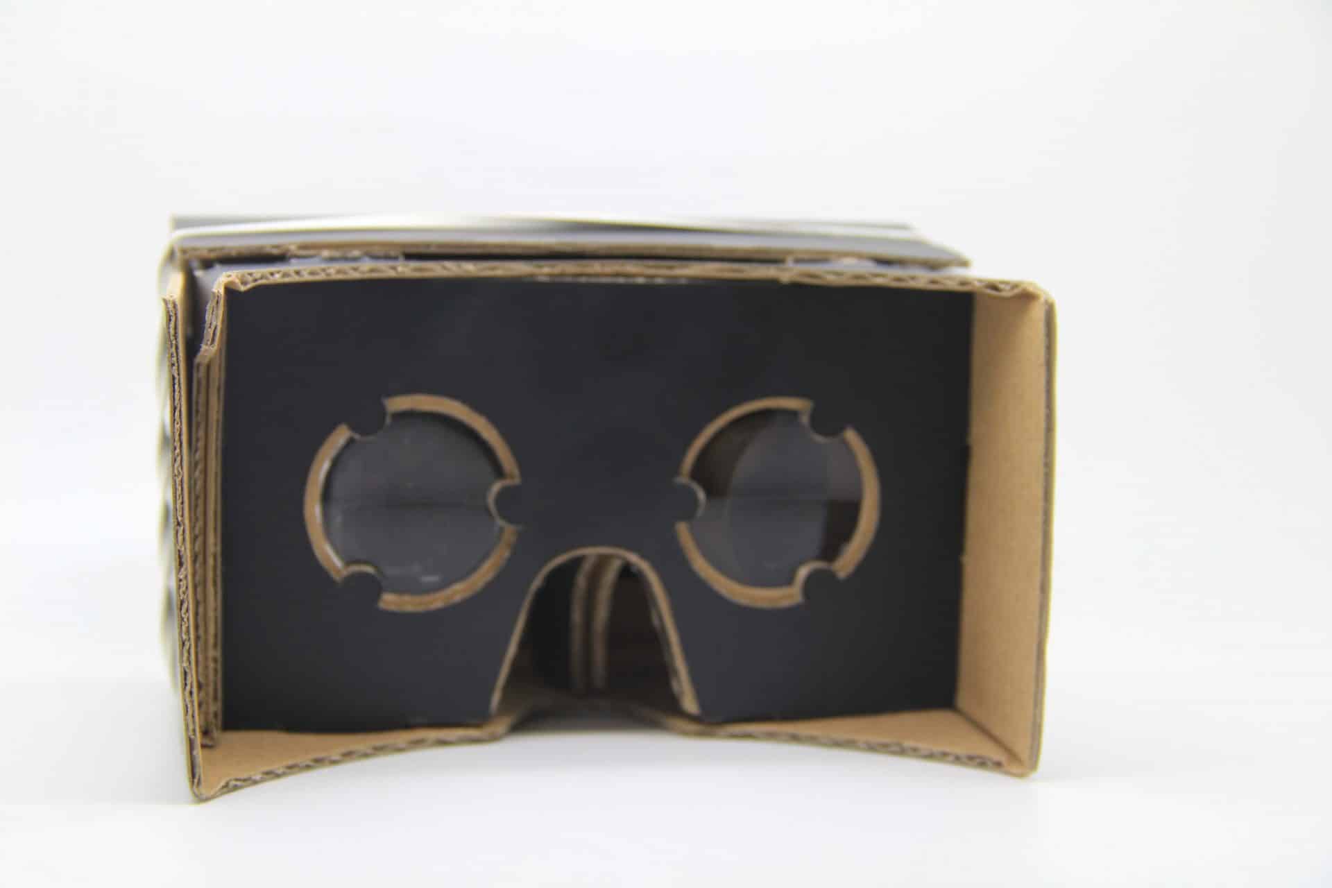 Custom VR Goggles