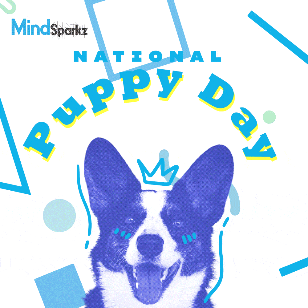 23 March – National Puppy Day