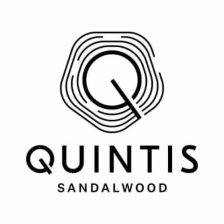 Quintis Logo