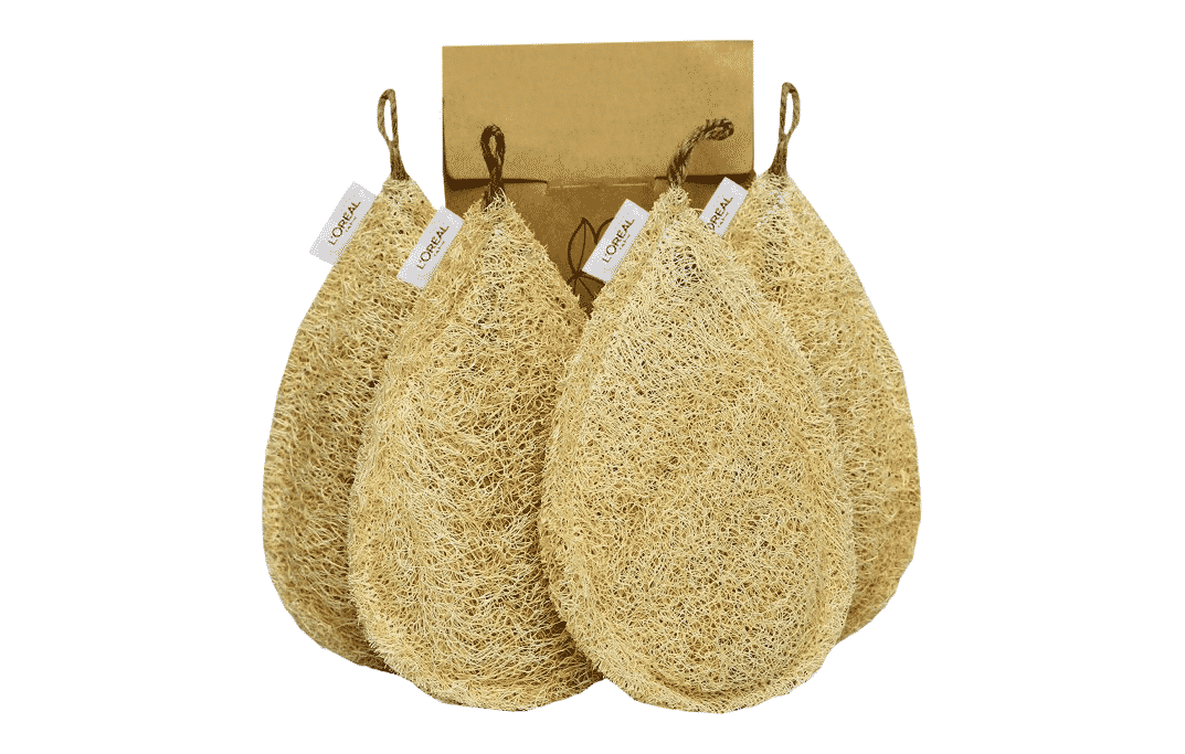 loofah dish sponges