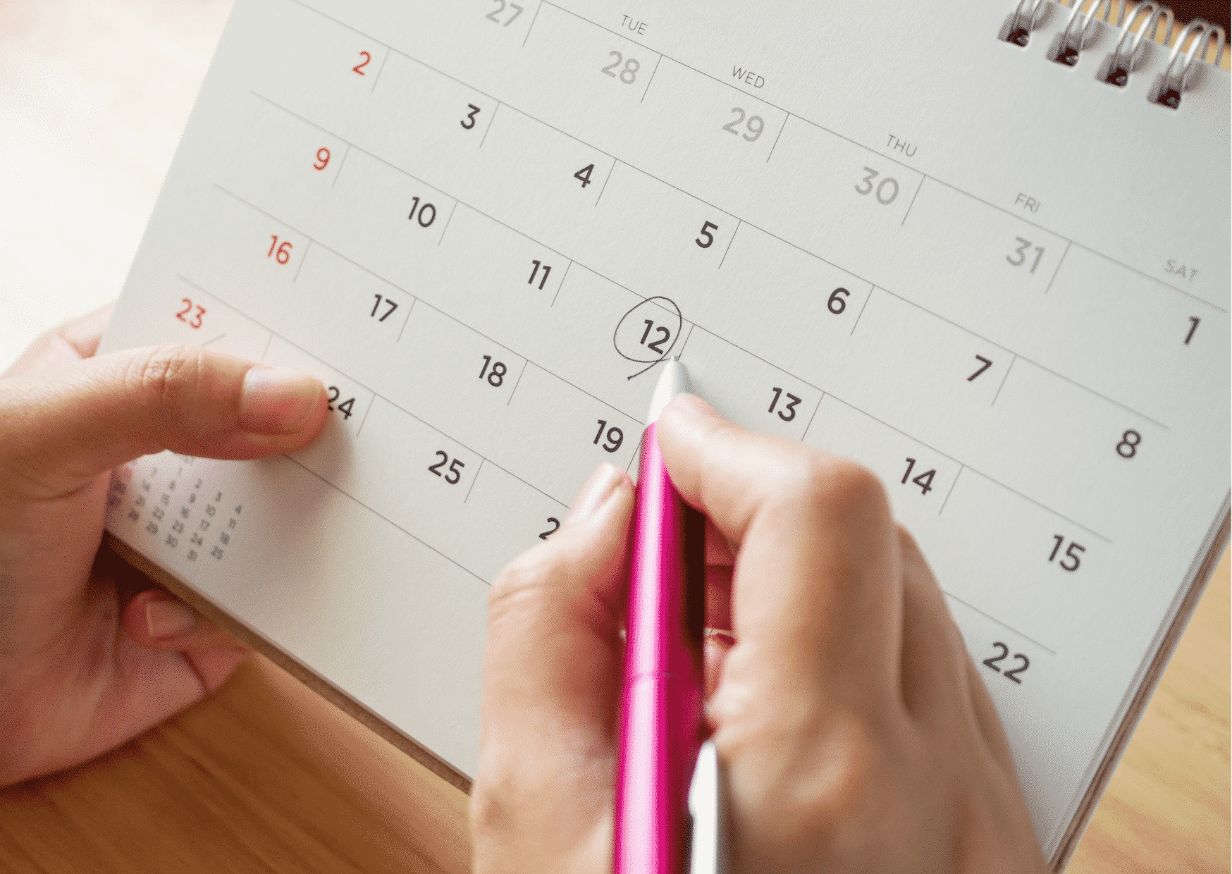 Marketing Promotion Schedule