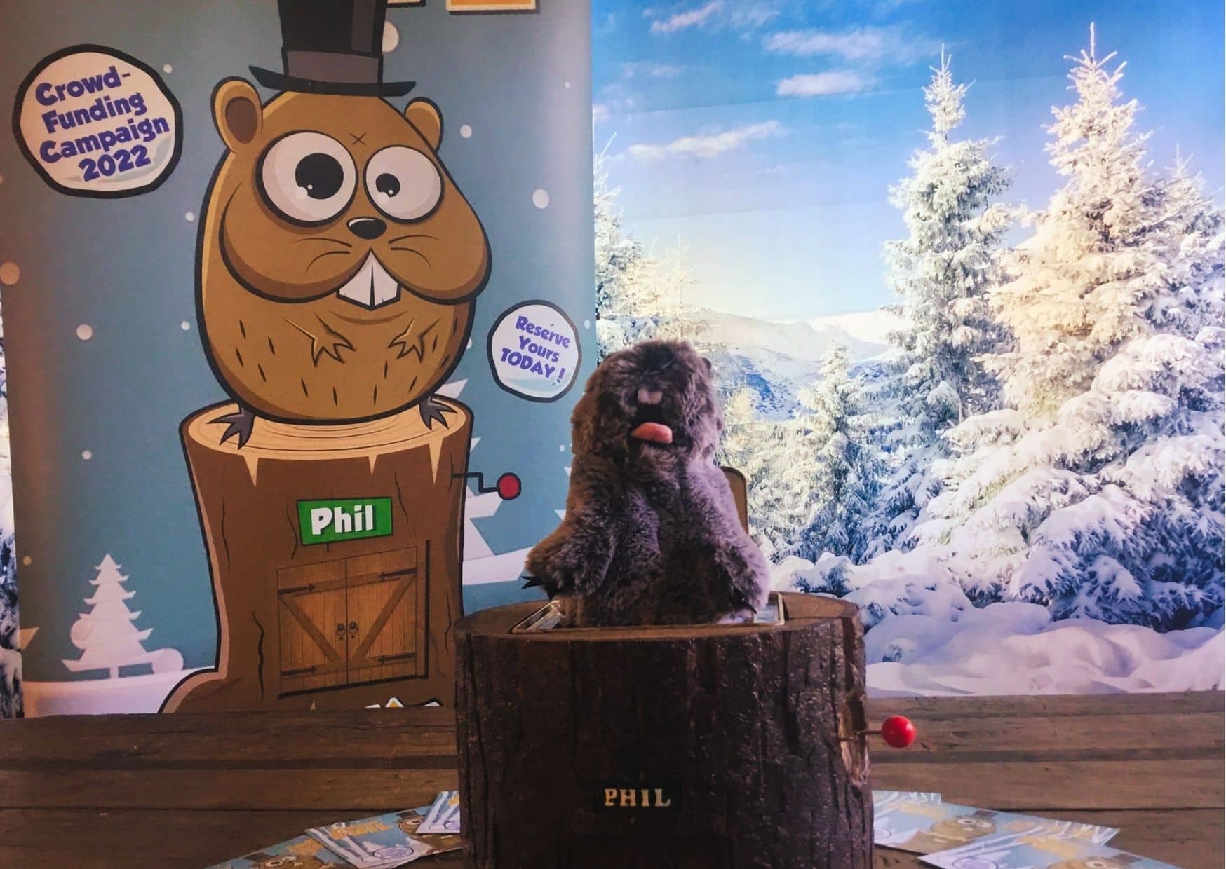 Kickstarter Product Development Kickstarter Product Development