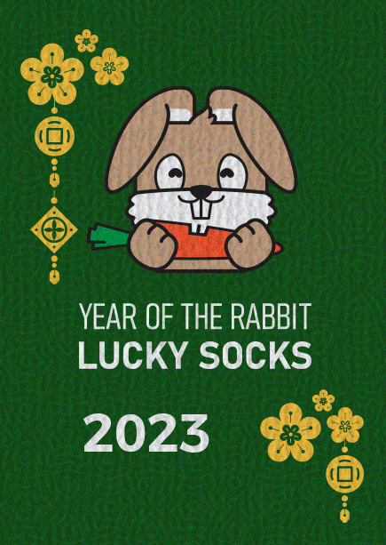 Year of the Rabbit Socks