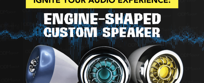 Custom Speaker Design