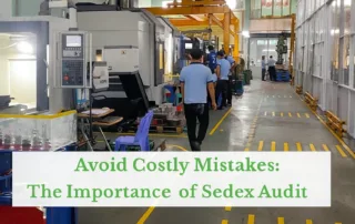 What is a Sedex Audit
