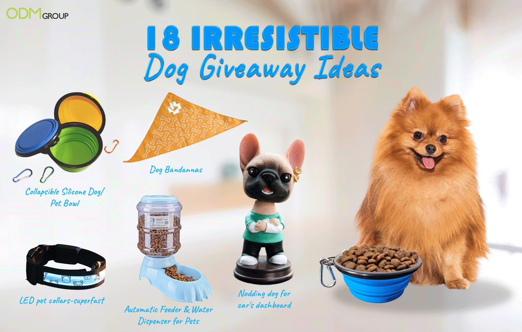 Dog Giveaway Ideas