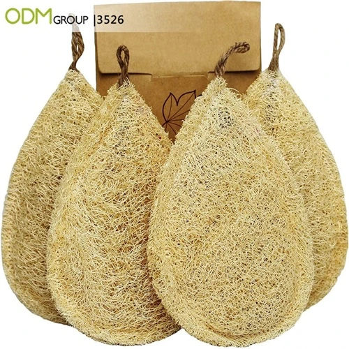 Green Marketing Ideas- Dish Brush