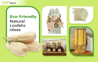 ecofriendly natural loofah ideas