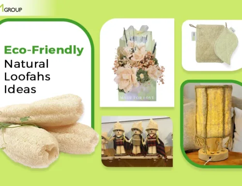 Eco-Friendly Natural Loofah Ideas for Custom Promotional Items
