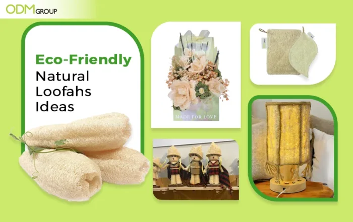 ecofriendly natural loofah ideas