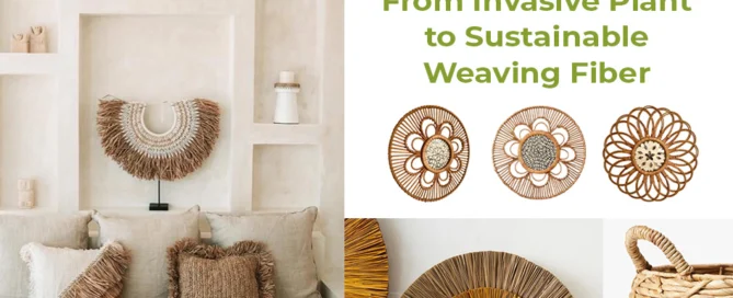 Water Hyacinth Material